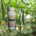 Agriculture fungicide azoxystrobin 250g L SC